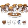 Puppy Feeder Bowl, Stainless Steel Dog Bowls for Puppy, Food Feeding Weaning Bowl for Small Dogs Cats Pets (Small Size, 10.23 Inch)